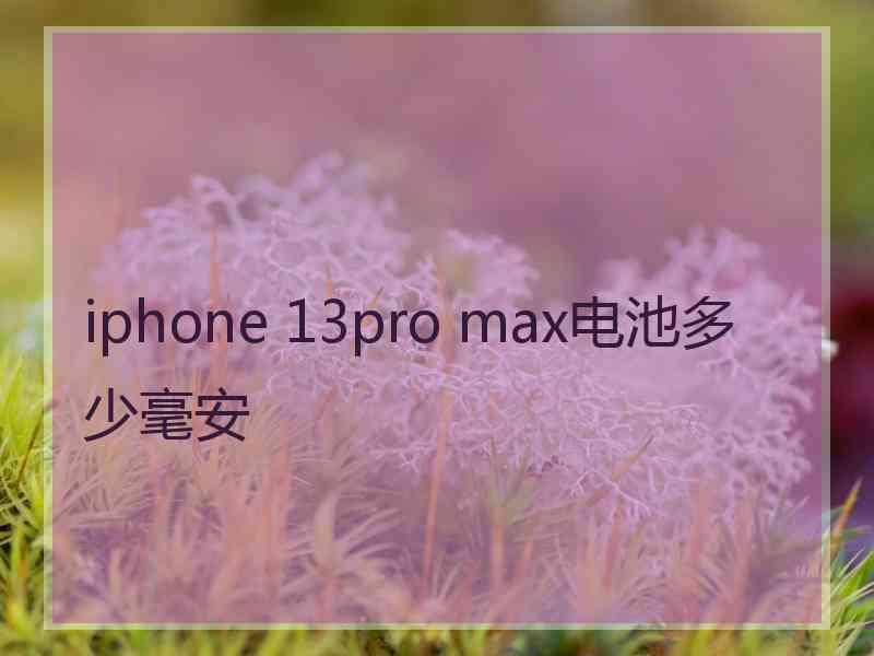 iphone 13pro max电池多少毫安