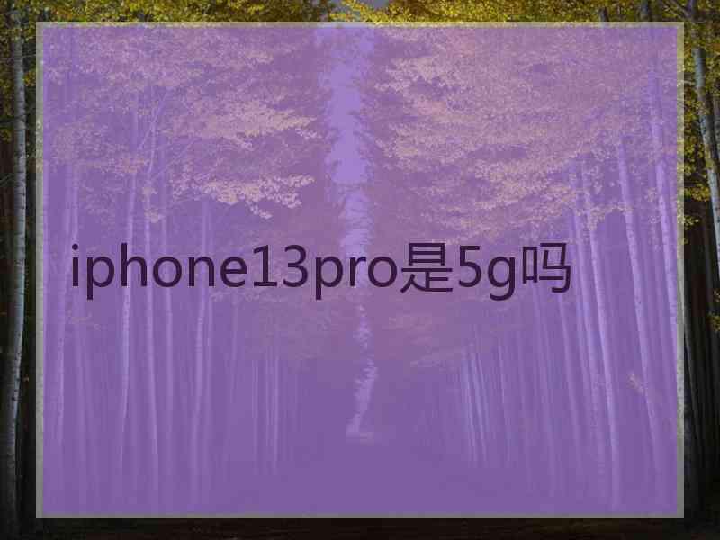 iphone13pro是5g吗