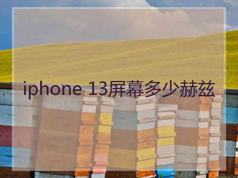 iphone 13屏幕多少赫兹