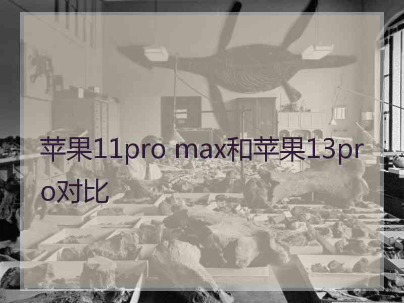 苹果11pro max和苹果13pro对比