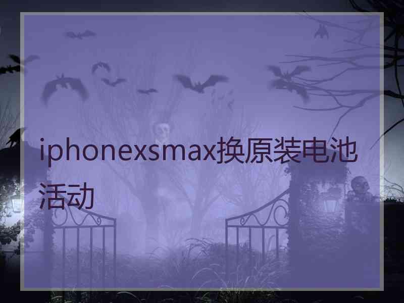 iphonexsmax换原装电池活动