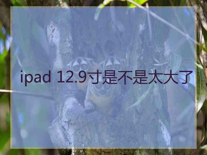 ipad 12.9寸是不是太大了