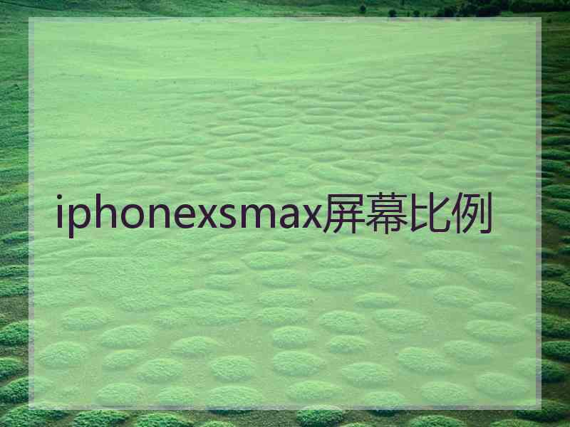 iphonexsmax屏幕比例