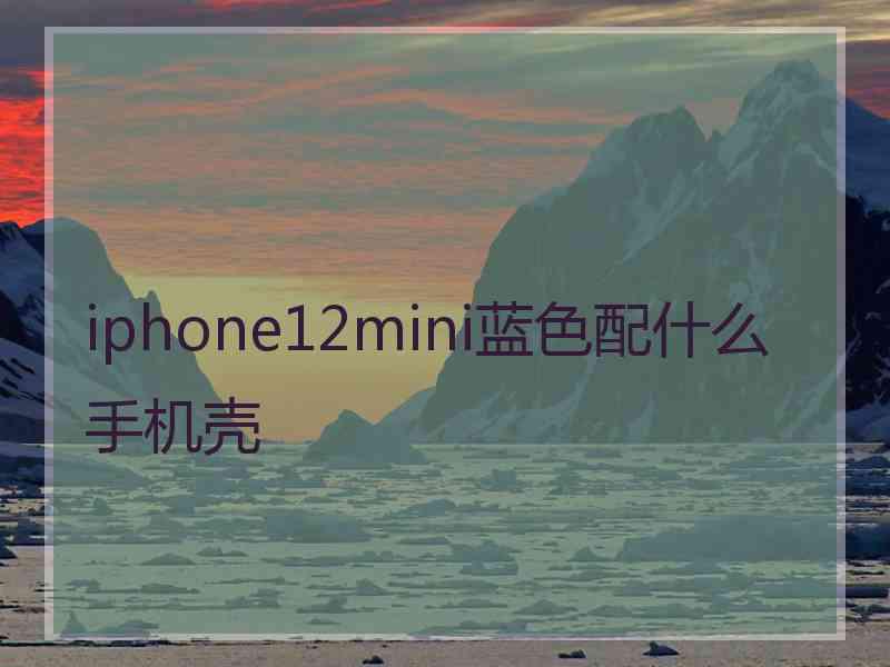 iphone12mini蓝色配什么手机壳