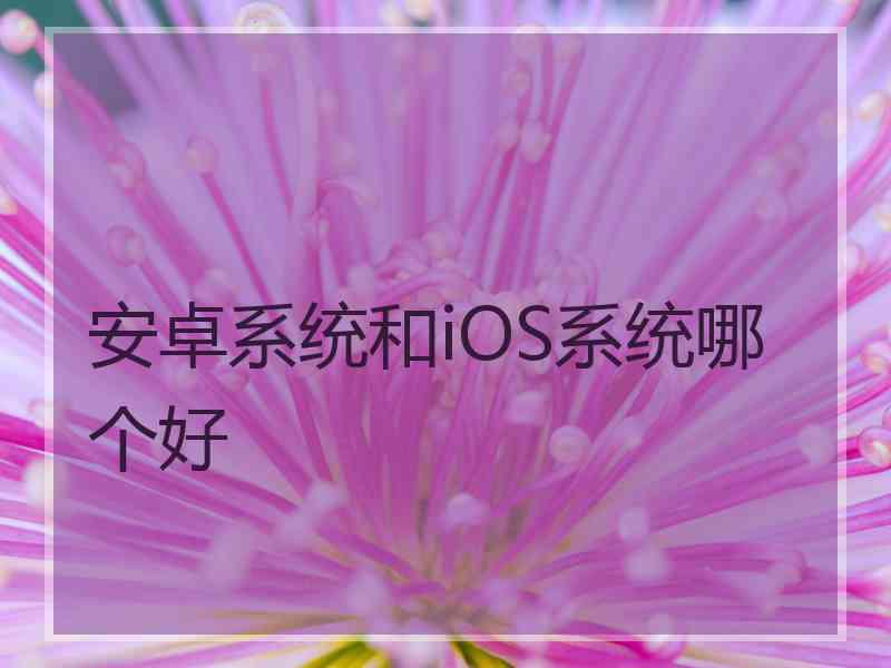 安卓系统和iOS系统哪个好