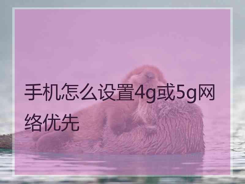 手机怎么设置4g或5g网络优先