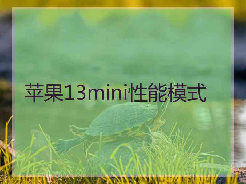 苹果13mini性能模式