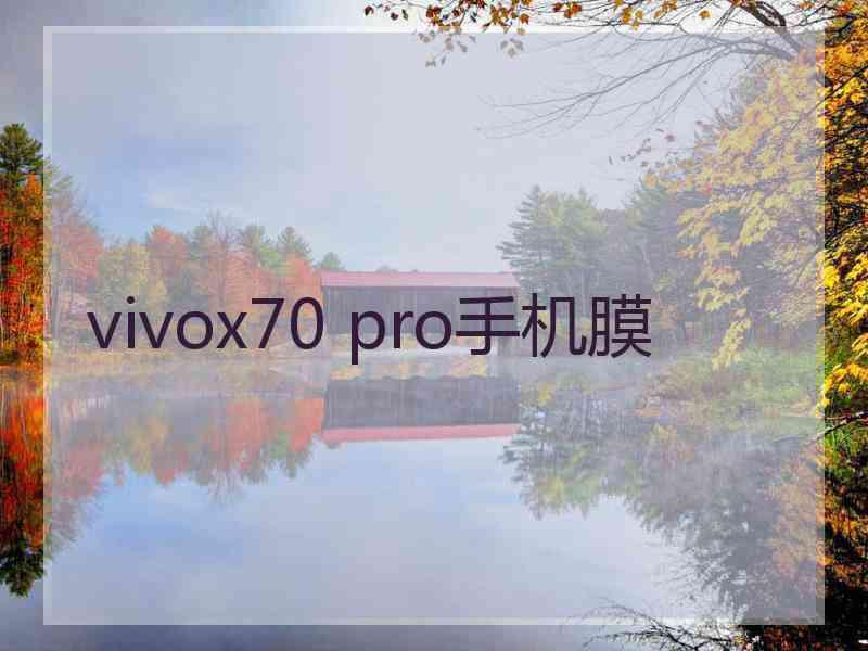 vivox70 pro手机膜