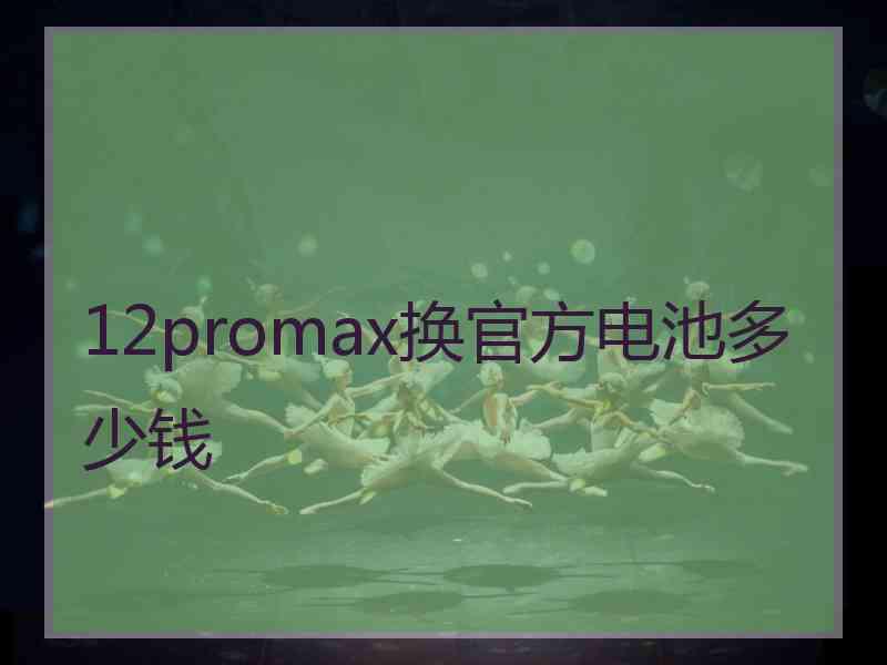 12promax换官方电池多少钱