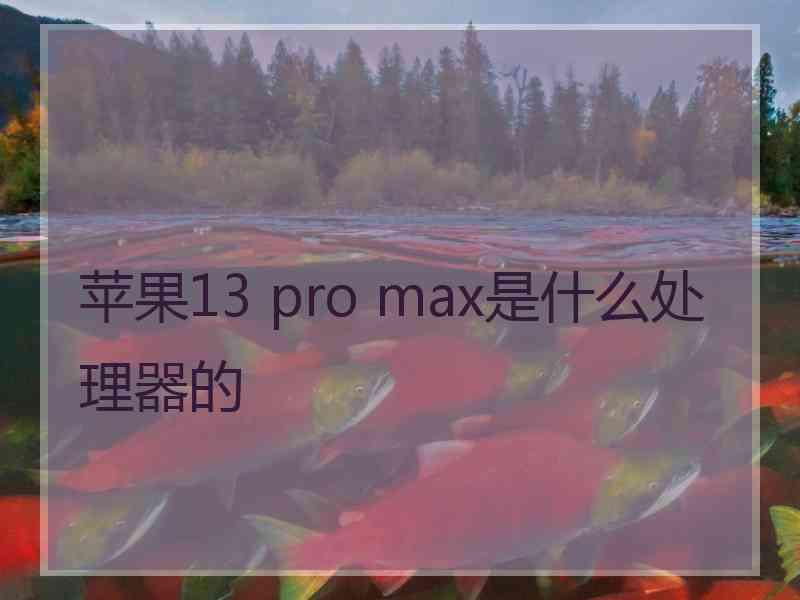 苹果13 pro max是什么处理器的