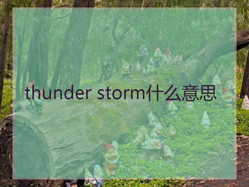 thunder storm什么意思