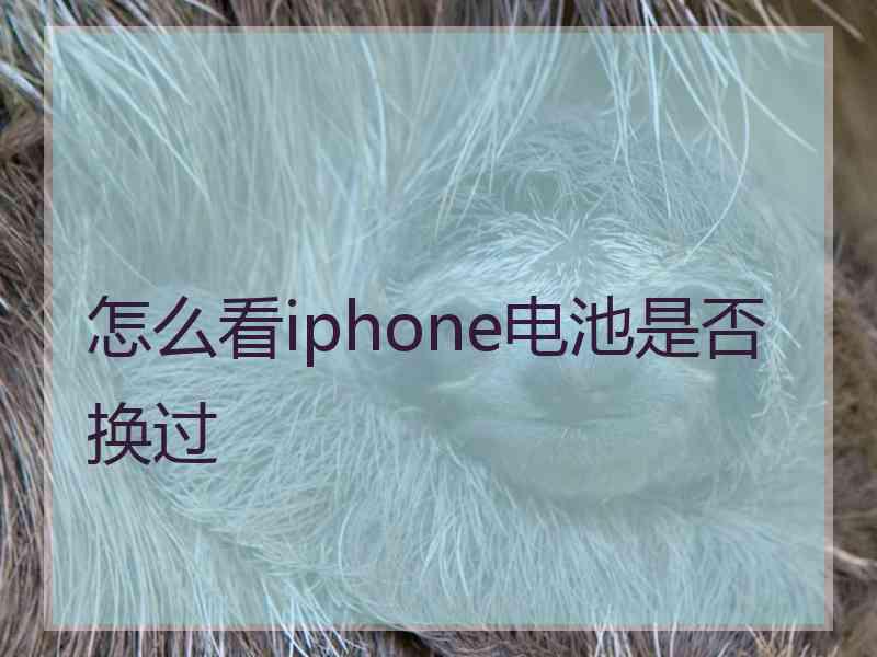 怎么看iphone电池是否换过