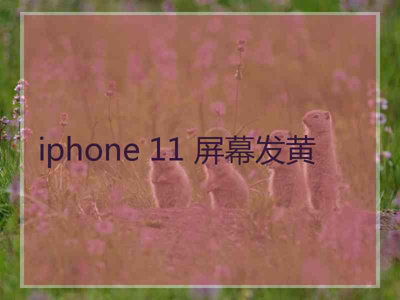 iphone 11 屏幕发黄