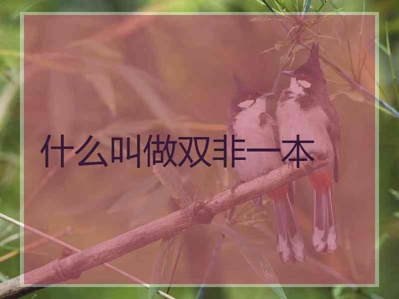 什么叫做双非一本