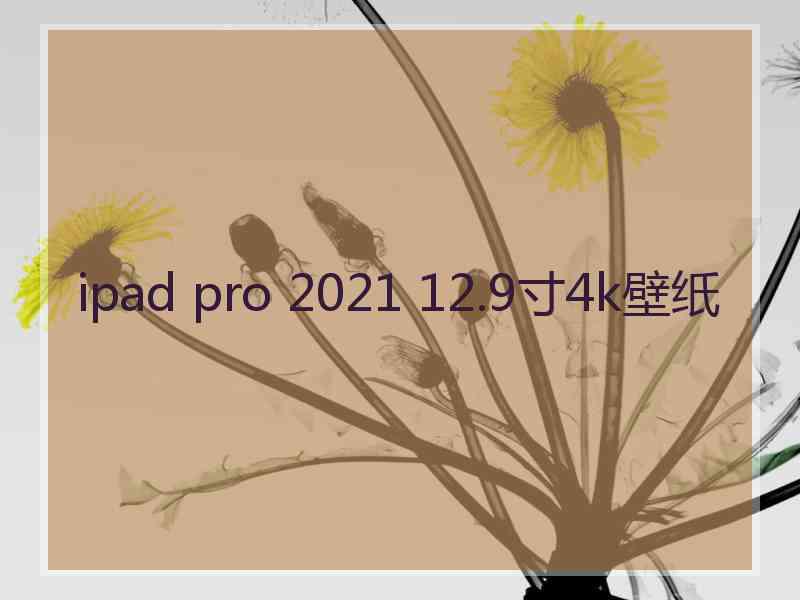 ipad pro 2021 12.9寸4k壁纸