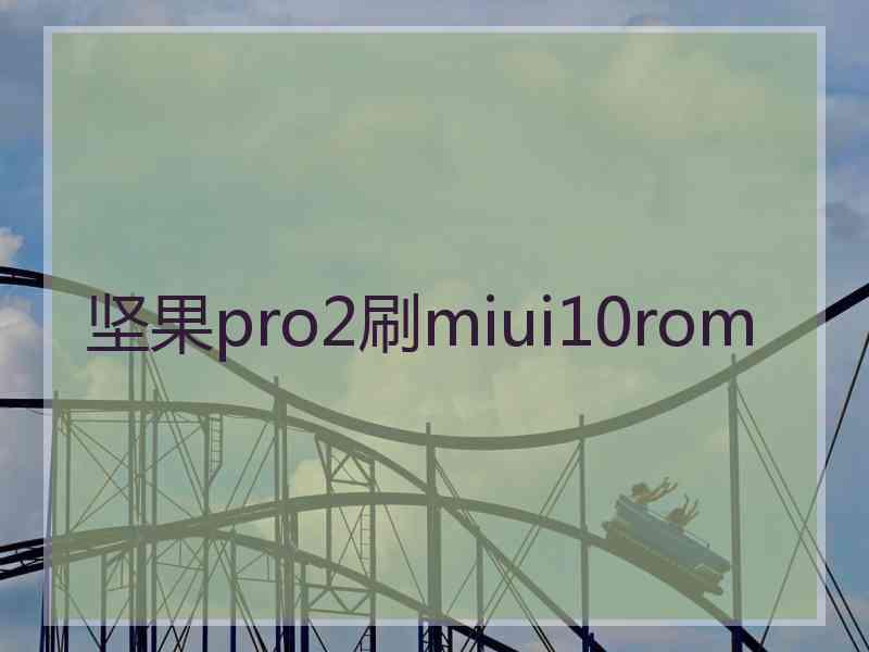 坚果pro2刷miui10rom