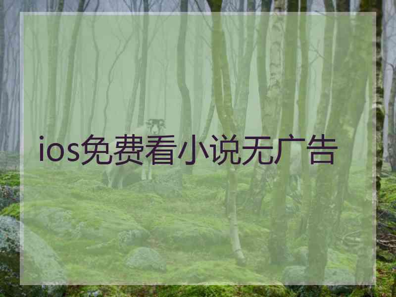 ios免费看小说无广告