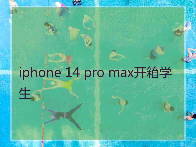 iphone 14 pro max开箱学生