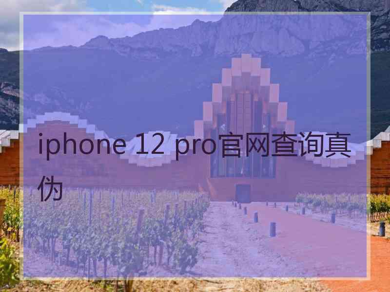 iphone 12 pro官网查询真伪