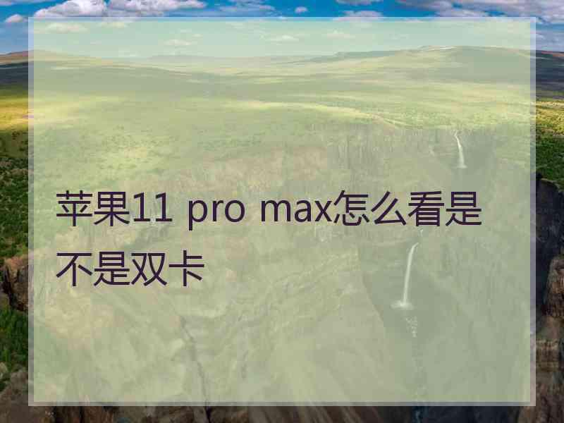 苹果11 pro max怎么看是不是双卡