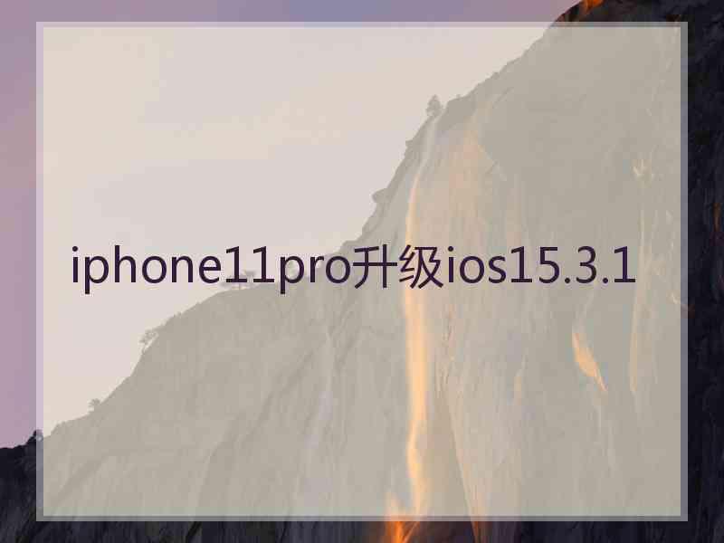 iphone11pro升级ios15.3.1