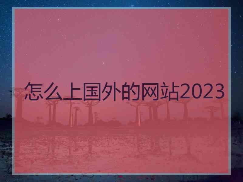 怎么上国外的网站2023