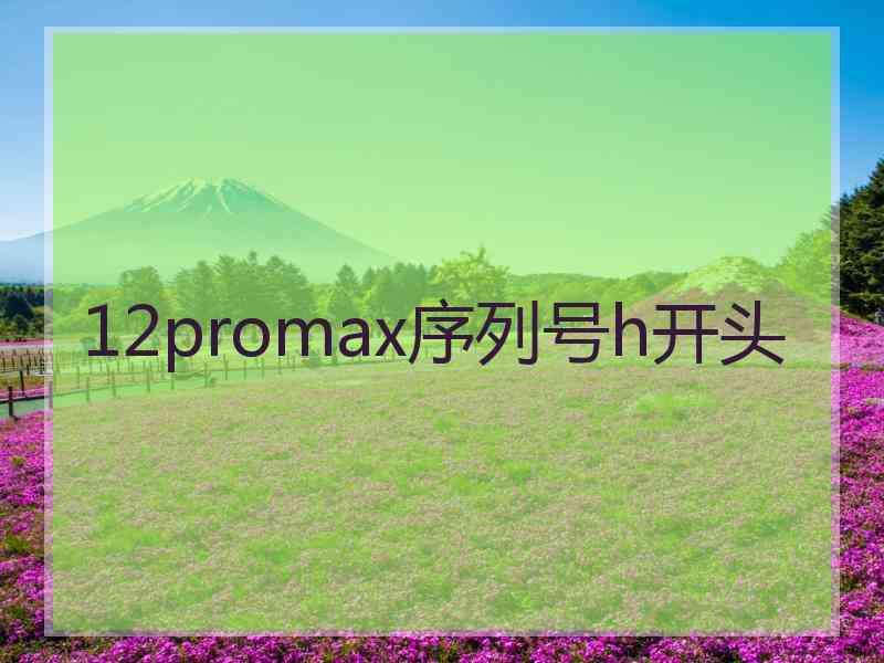 12promax序列号h开头