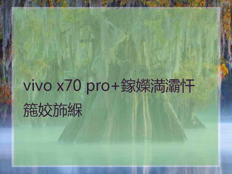 vivo x70 pro+鎵嬫満灞忓箷姣斾緥