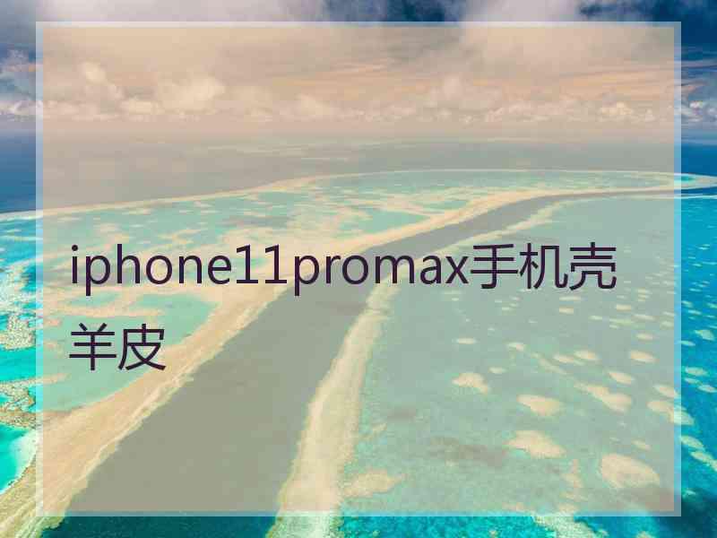 iphone11promax手机壳羊皮