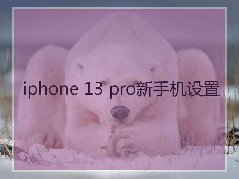 iphone 13 pro新手机设置