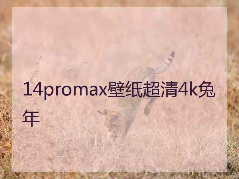 14promax壁纸超清4k兔年