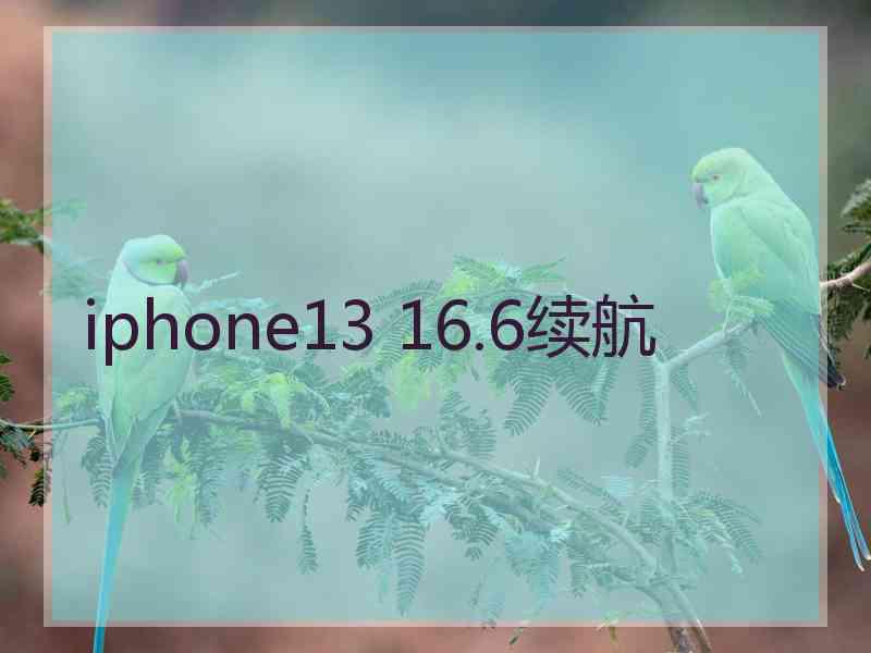 iphone13 16.6续航