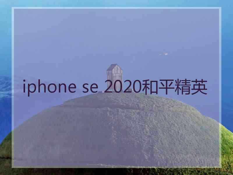 iphone se 2020和平精英