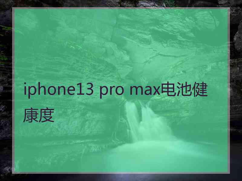 iphone13 pro max电池健康度