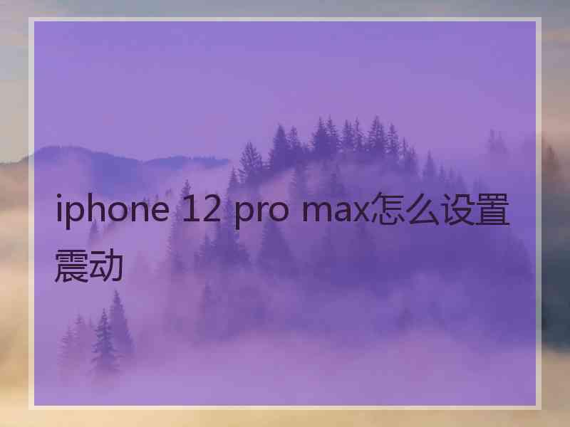 iphone 12 pro max怎么设置震动