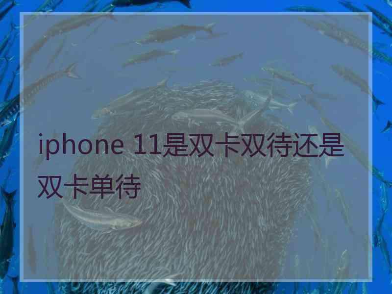 iphone 11是双卡双待还是双卡单待