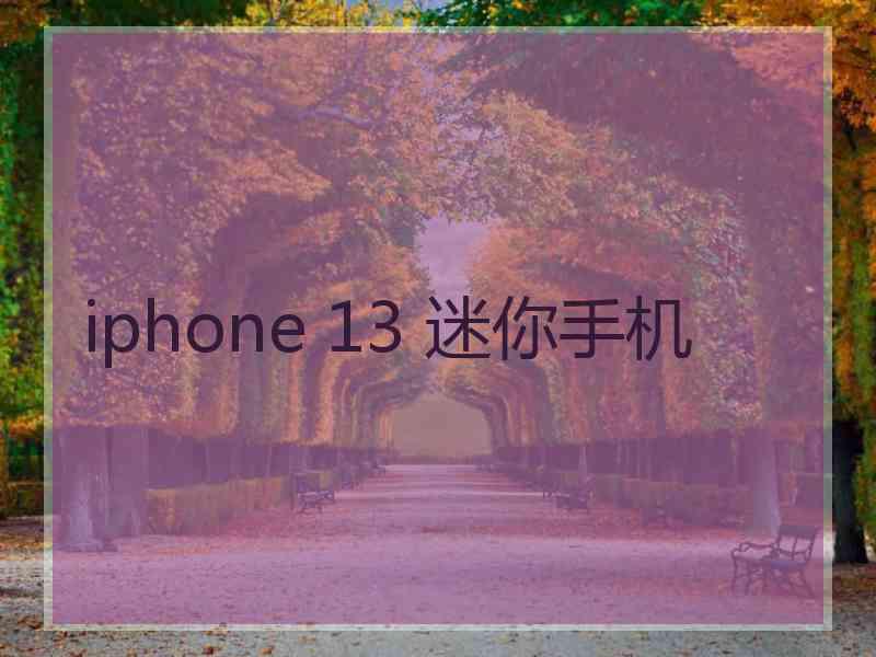 iphone 13 迷你手机