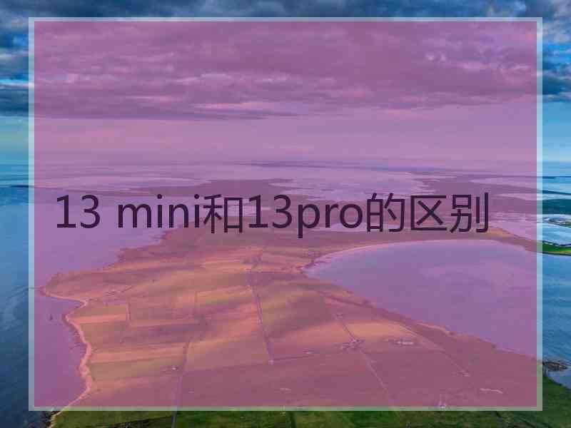 13 mini和13pro的区别