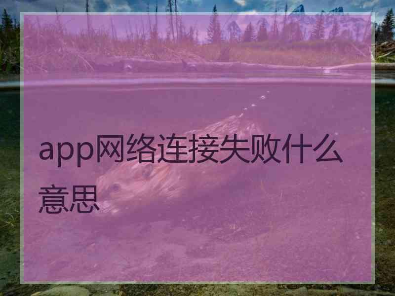 app网络连接失败什么意思