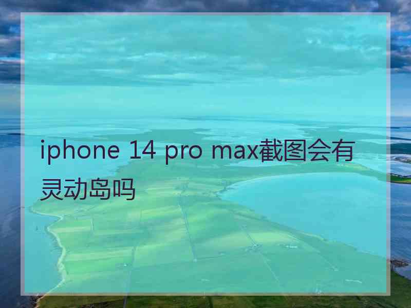 iphone 14 pro max截图会有灵动岛吗