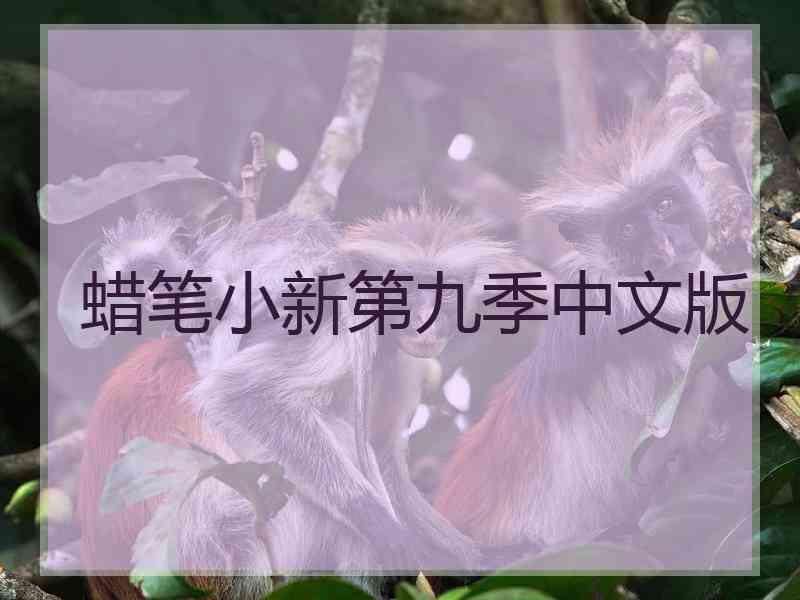 蜡笔小新第九季中文版