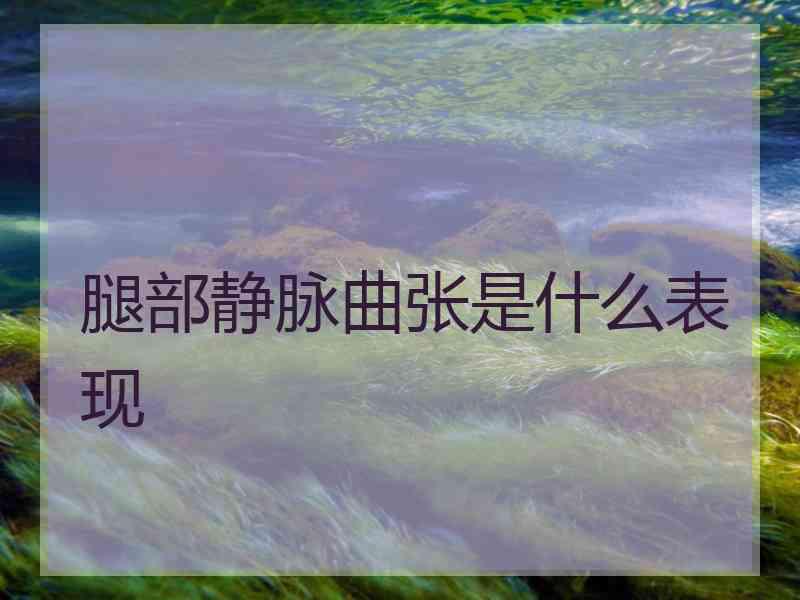 腿部静脉曲张是什么表现