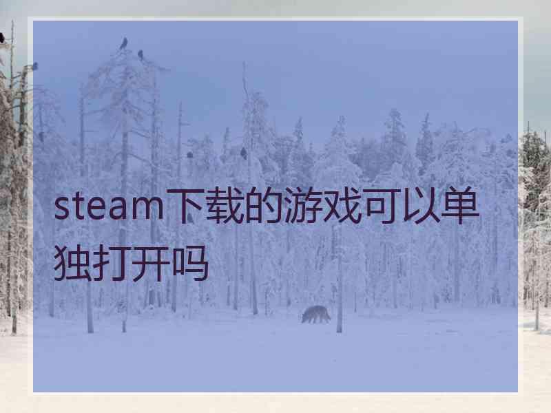 steam下载的游戏可以单独打开吗