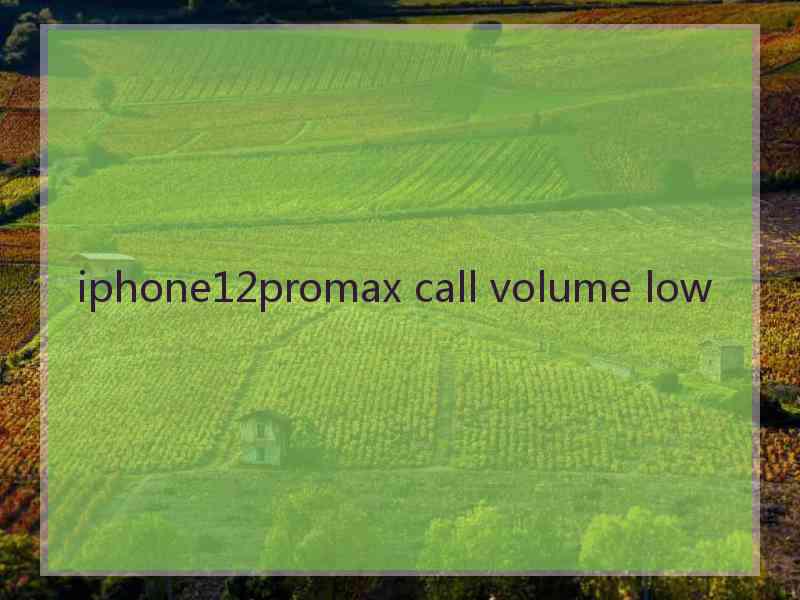 iphone12promax call volume low