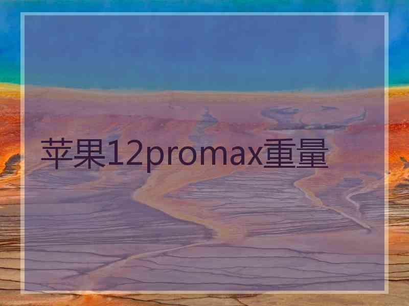 苹果12promax重量