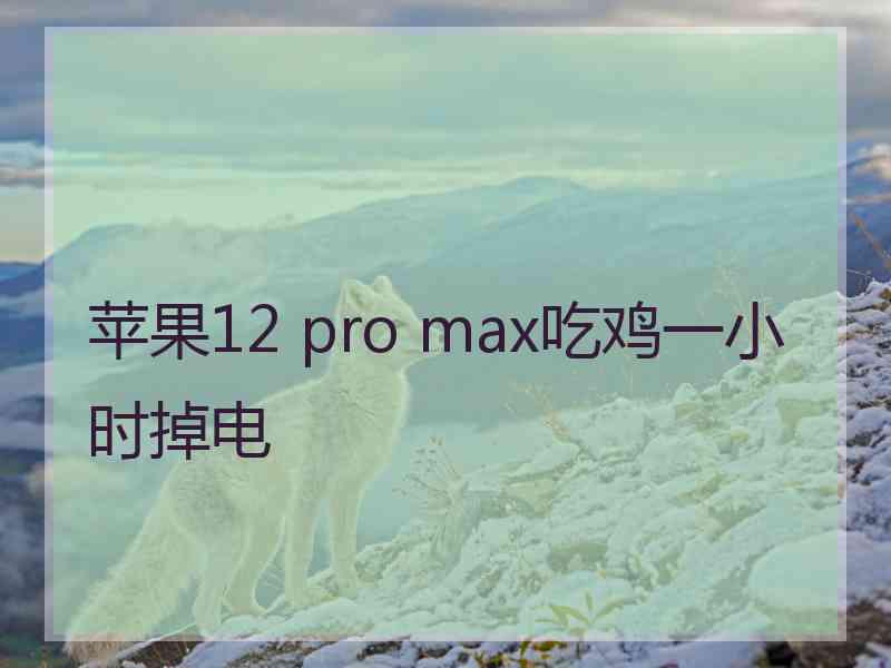 苹果12 pro max吃鸡一小时掉电