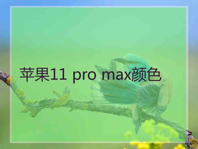 苹果11 pro max颜色