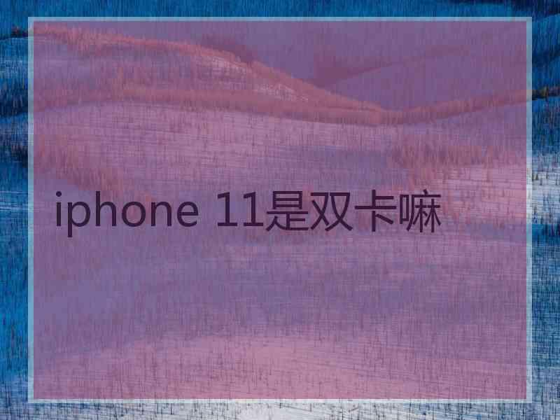 iphone 11是双卡嘛