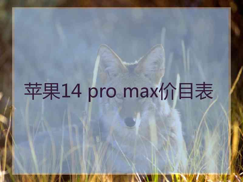 苹果14 pro max价目表