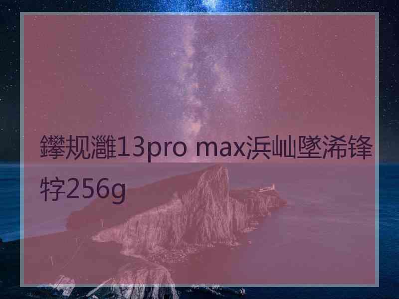 鑻规灉13pro max浜屾墜浠锋牸256g